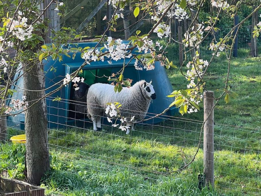 Hoeve Hooierzele